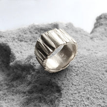 Load image into Gallery viewer, Fragment Ring - Silver